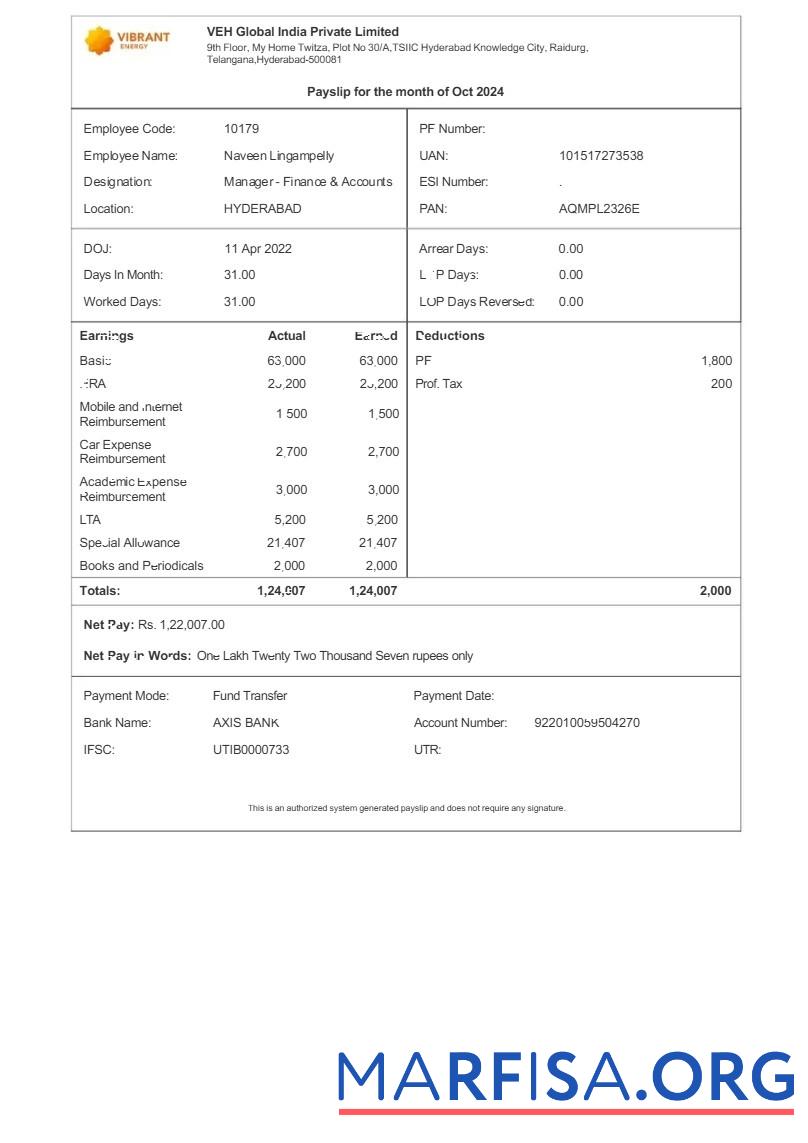 Printable Vibrant Energy VEH Global India payslip sample